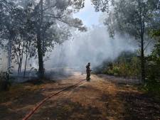 Nieuwsoverzicht | Grote branden in Brabantse natuurgebieden - ‘Peter Gillis beet Nicol in rug en neus’