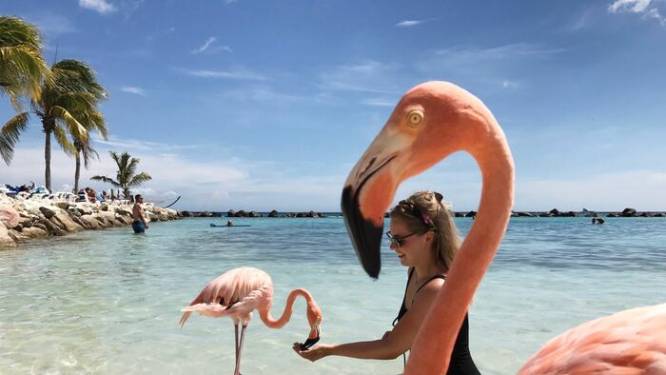 Dit zijn de mooiste zomerfoto’s van vandaag!