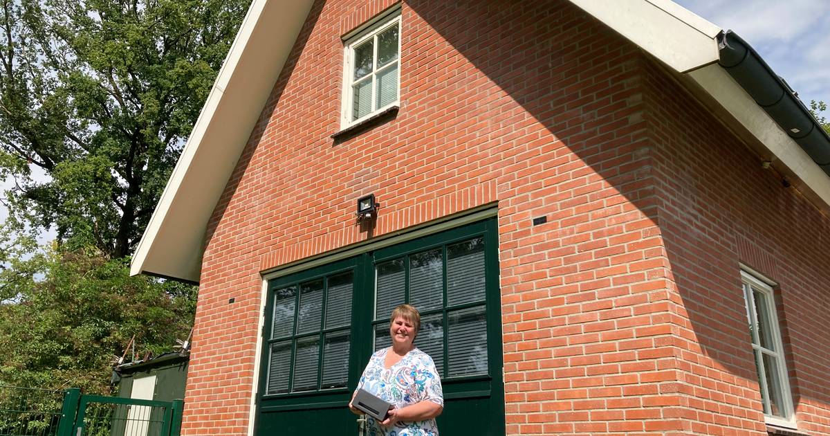 Haaksbergen schiet vleermuizen te hulp met kraamkasten voor beschermde dieren