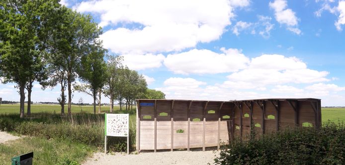 Essen langs de Vamerenweg in het veld tussen Wordragen en Kerkwijk. De essentaksterfte kost rond Hedel en Ammerzoden zo'n 400 essen de kop.