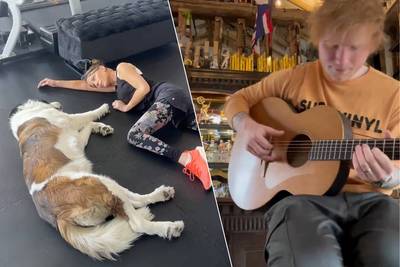 CELEB 24/7. Kate Beckinsale heeft een bijzondere work-outbuddy en Ed Sheeran haalt zijn gitaar nog eens boven
