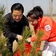 China plant 26 miljard bomen