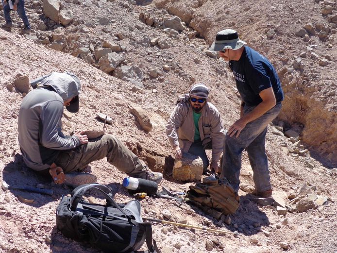 Een team van de universiteit van Chili aan het werk in de Atacamawoestijn.