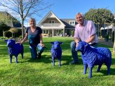 Als je de blauwe schapen van Janny en Bernhard eenmaal ziet, kun je er niet omheen