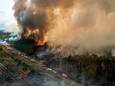 Brandweerlui bestrijden een bosbrand in Saint-Magne, Frankrijk. Beeld gemaakt op 11 augustus.