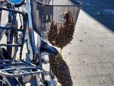 Honderden bijen proberen van fiets nieuw thuis te maken