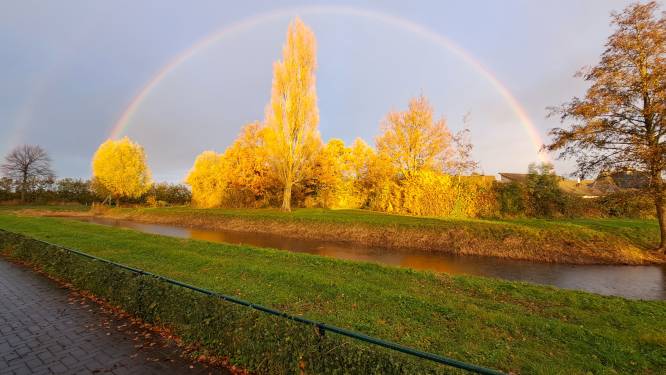 Gouden bomen en ‘een mooie regenboog’ in Kapelle