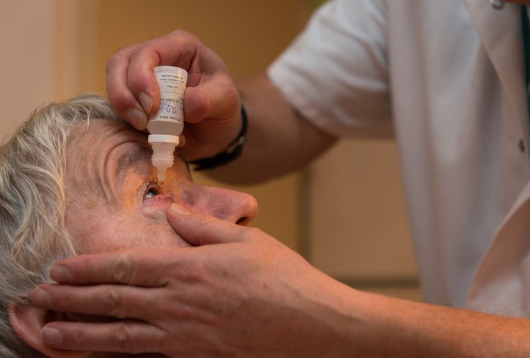 Een zelfstandig verpleegkundige druppelt het oog van een cliënt.  Beeld ANP XTRA Roos Koole