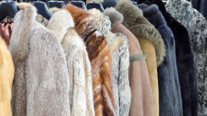 San Francisco verbiedt verkoop van nieuwe pels