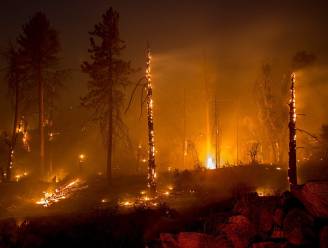 Doden door natuurbranden in Californië, tienduizenden hectare bos in de as gelegd
