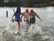 Ondanks het verbod nam een dertigtal zwemmers een nieuwjaarsduik in de Rijkerswoerdse Plassen