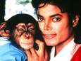 L'héritage animal de Michael Jackson pose aussi problème