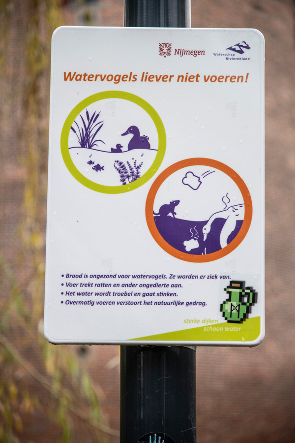 Aan een lantaarnpaal bij de vijver in Kronenburgpark hangt een bord met de tekst: Watervogels liever niet voeren!