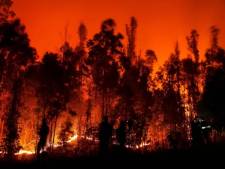 Vingt-trois morts dans des dizaines de feux de forêts au Chili, selon un nouveau bilan