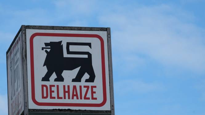 Alle eigen Delhaize-supermarkten hebben minstens één kandidaat-overnemer 