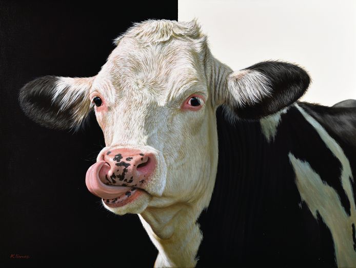 Bij Van Loon Galleries zijn de koeienkoppen van Alexandra Klimas te zien.