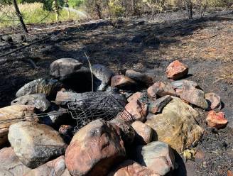 Wandelaars doven barbecue niet volledig en veroorzaken bosbrand nabij Eupen: 1.500 vierkante meter natuur verwoest 