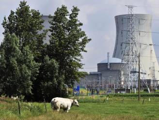 "Alle kernreactoren in Doel en Tihange lopen gevaar"