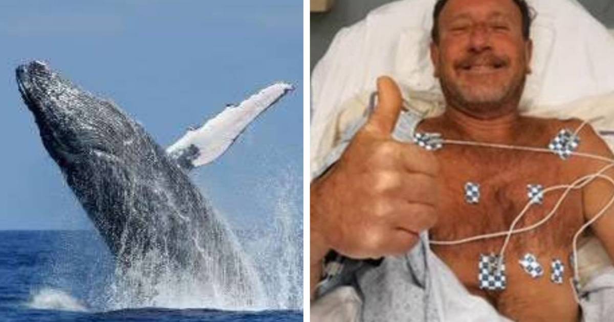 Un pêcheur sain et sauf après avoir été "avalé" par une baleine Monde