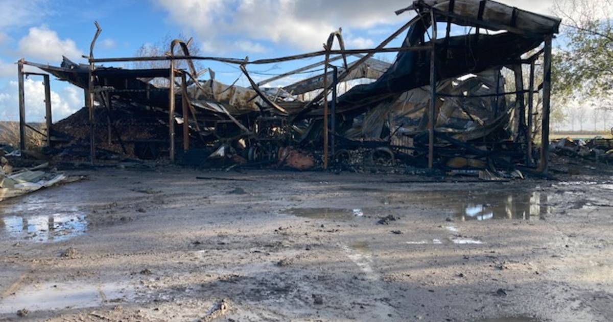 Verwrongen staal en geblakerde balken is al wat rest van uienloods Geersdijk