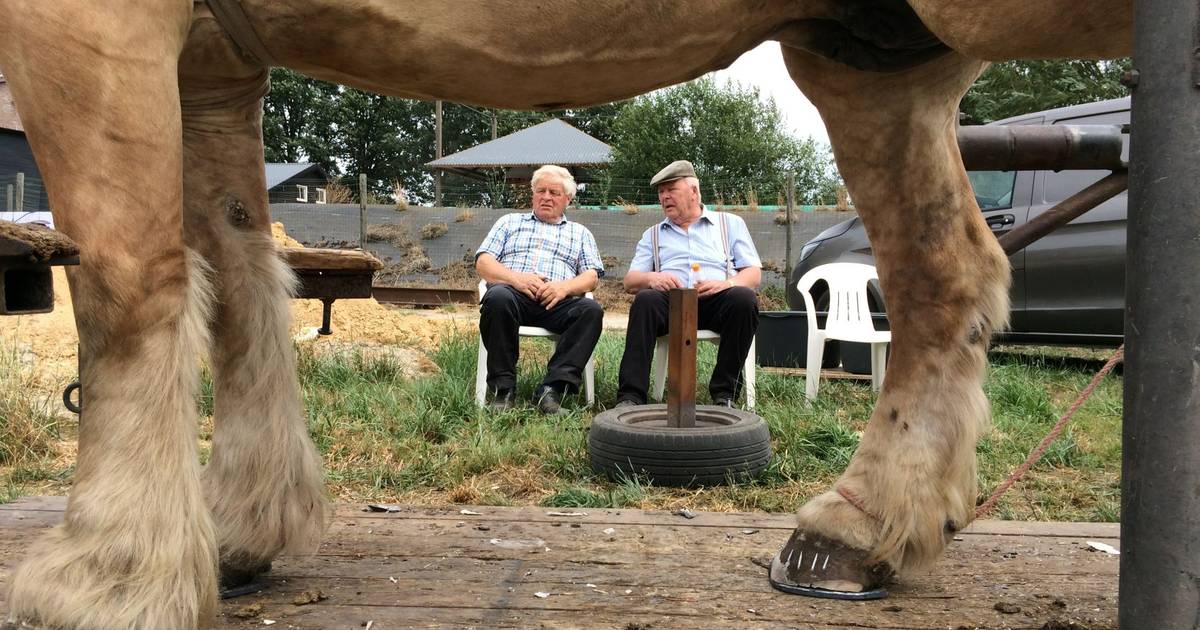 Boeren en hun verhaal bij Hoeve de Nachtegaal in Wintelre