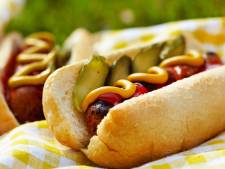 IKEA komt met vegetarische hotdog