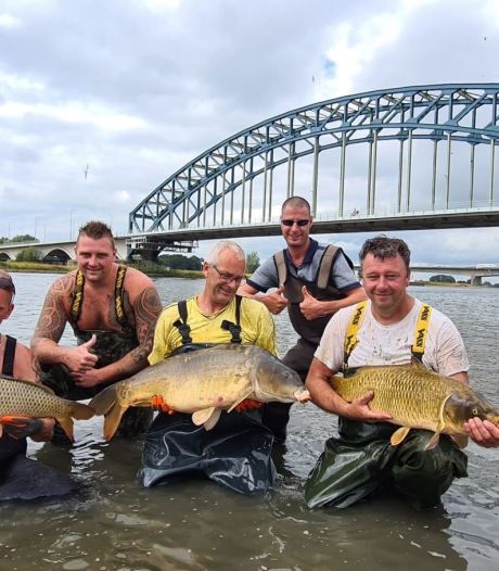 Hengelaars redden bij Zwolle 12.000 kilo vis van een wisse dood: ‘Een feelgoodstory’