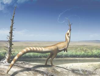 Nieuwe visie op uiterlijk dinosauriërs: zo zagen ze er vroeger werkelijk uit