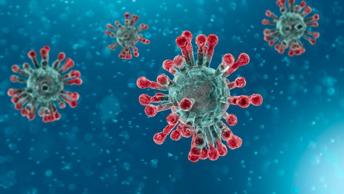 Het coronavirus