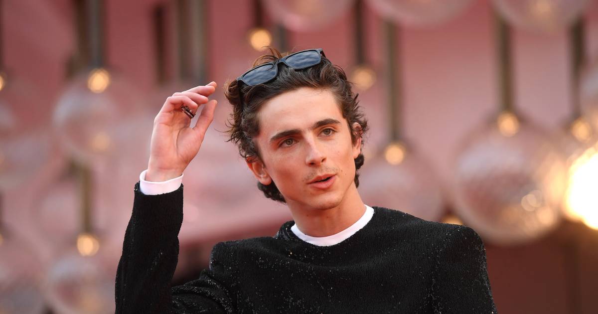 Ecco come appare Timothée Chalamet nei panni di Willy Wonka |  spettacolo