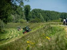 Natuurvriendelijk maaien op de dijk: er blijft altijd een schuilplek voor de muizen en insecten