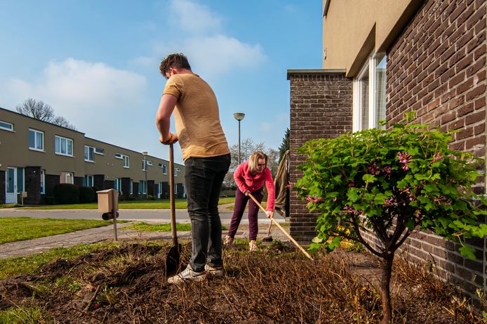 De woningen in de Rozenlaan zijn al gerenoveerd en worden nu ook nog negen ouderenwoningen gebouwd. Dit najaar start de heraanleg van de straat en de pleintjes.