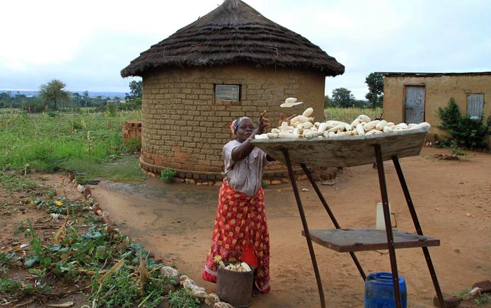 Voor Zimbabwaanse boeren geldt de mogelijkheid om onteigend land terug te krijgen niet.
