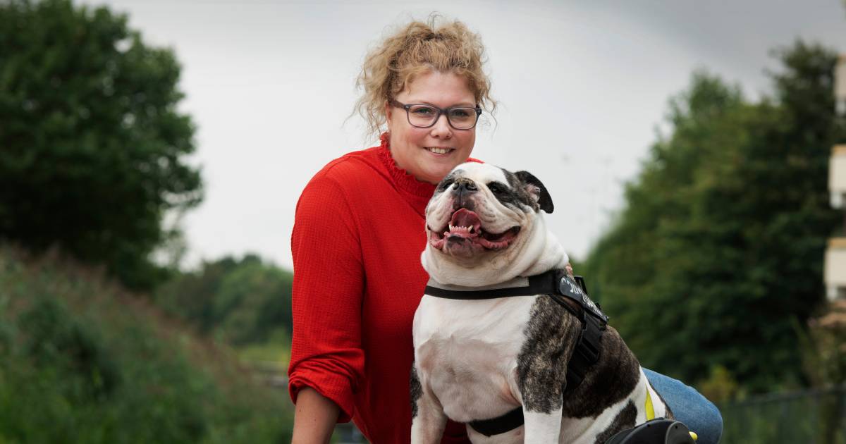 Hond Diesel (5) wordt bijna geroofd, maar een harde beet jaagt dieven op de vlucht: ‘Blijf van mijn hond af’