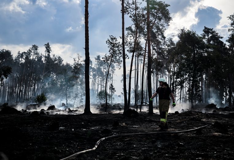 Ook Brandenburg in Duitsland wordt geteisterd door bosbranden.  Beeld Reporters / DPA