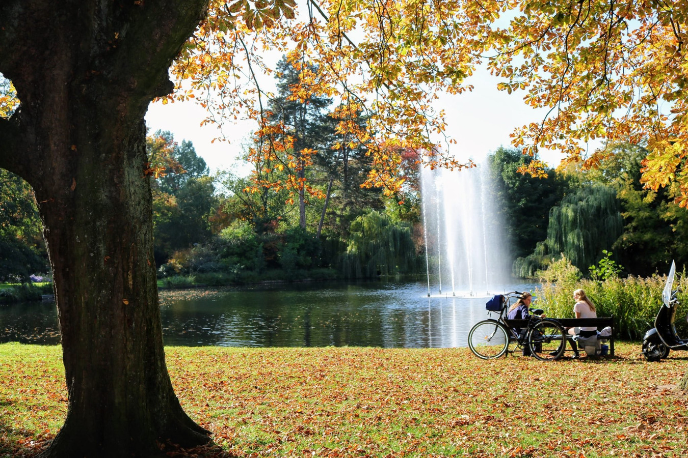 Wilhelminapark lijkt ‘verboden grond’ ene na andere evenement moet uitwijken Foto