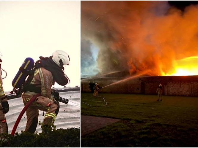 Verwoestende brand legt loods van 1.500 m² in de as: “Eén dag eerder tijdens storm en de gevolgen waren nóg zwaarder geweest”