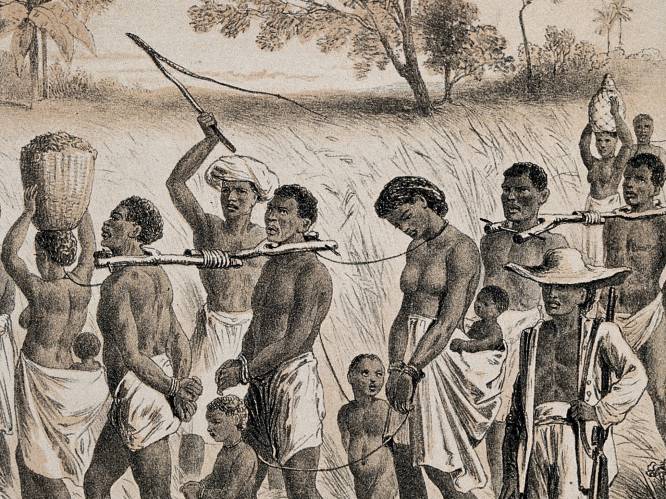 500 jaar geleden begon de slavenhandel tussen Afrika en Amerika die miljoenen levens verwoestte. Een Vlaming speelde de hoofdrol