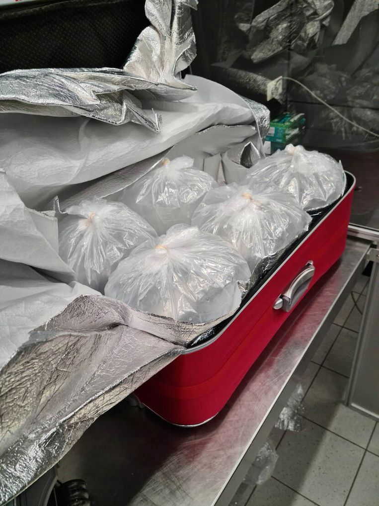 In acht koffers zat de 105 kilo aan paling. Beeld NVWA