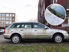 Het gras groeit inmiddels uit de motorkap: Audi staat al jarenlang weg te rotten in Amersfoort