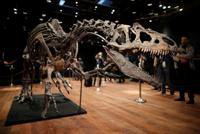 Het skelet is volgens veilinghuis Drouot meer dan 150 miljoen jaar oud.