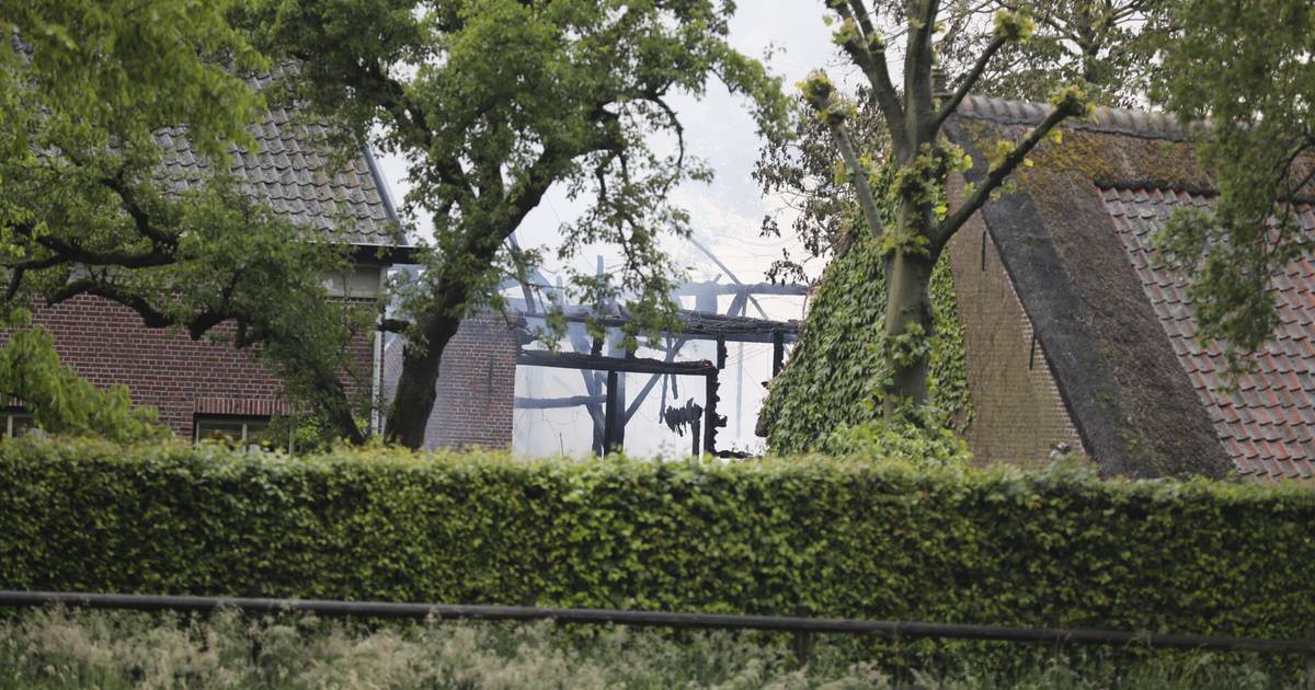 Schuur met rieten dak in Moerstraten volledig uitgebrand
