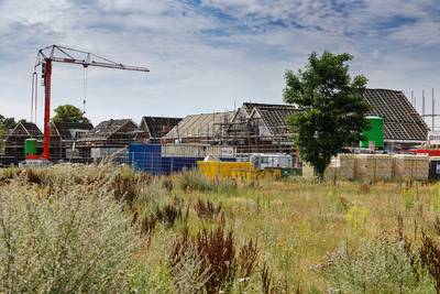 Vurige wens Esch gaat in vervulling: meer sociale woningbouw voor Reigerskant