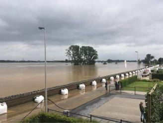 Na overstromingen van juli 2021 is er nu 6 miljoen euro om dijken te verstevigen en Maas te verbreden: “We moéten voorbereid zijn op ernstig hoog water”