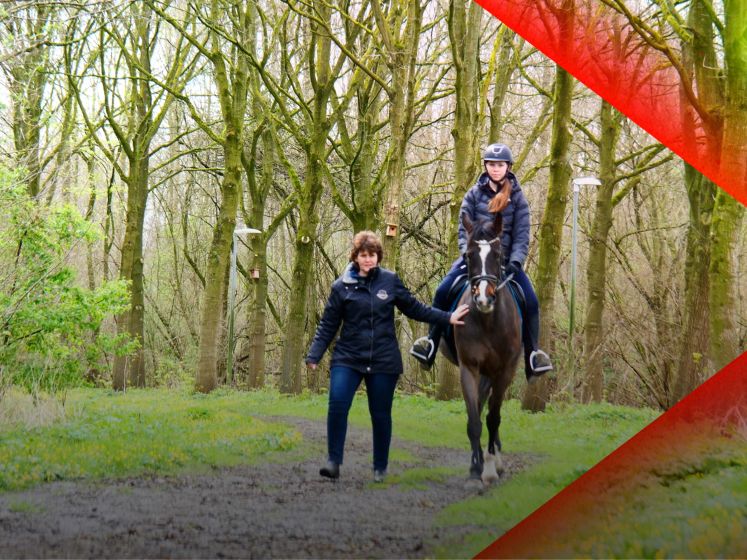Ruiters vrezen paardenfile in Almere • Eeuwenoud geheim ontdekt in Kampen