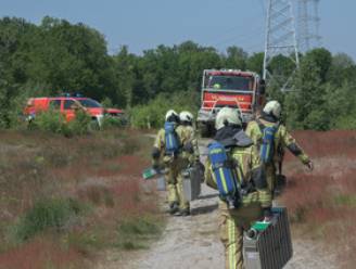 Bosbrand in de Ruige Heide in Berendrecht: brand onder controle