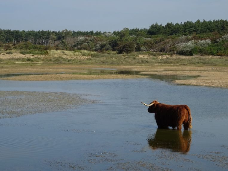 null Beeld Jo Janneke van Mourik