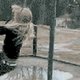 Waterpech en -pret (GIF's)