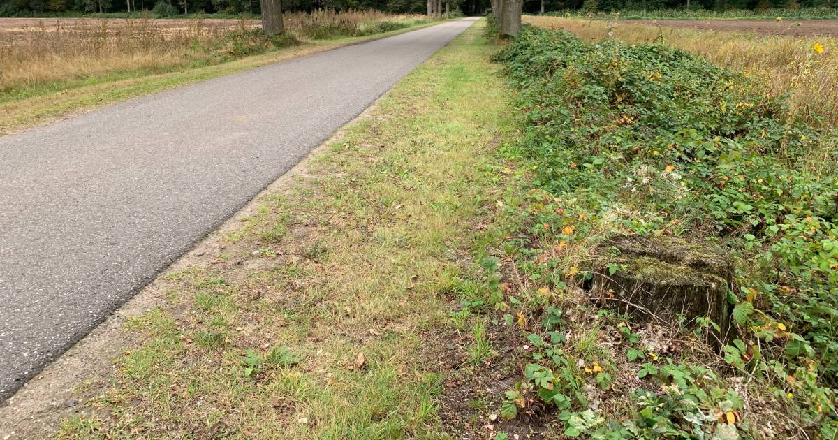 Rentmeester Landgoed de Utrecht bij Esbeek moet illegaal gerooide bomen herplanten