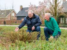 Al 25 jaar hielden Arie en Kees zelf het plantsoen bij, maar ineens is het gekortwiekt door de gemeente: ‘Alsof er een slechte kapper bezig is geweest’